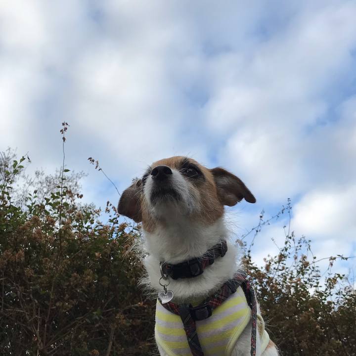 123c8966 abb7 4a6a 8e92 12e62a39dd14 1538993904252