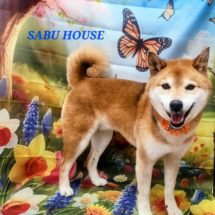 123c9b51 d470 412c adc7 61701d3f405e 1773201812182