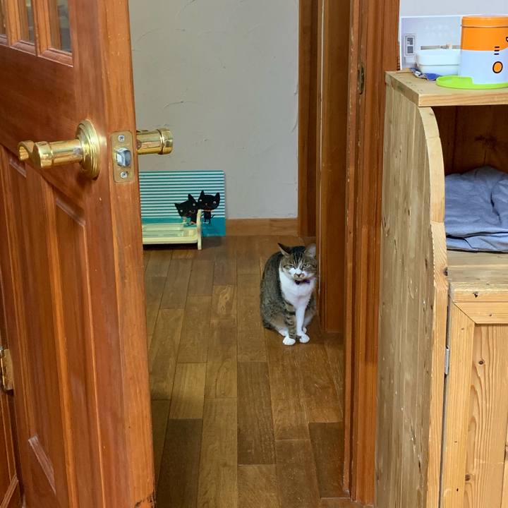 123c9f5b 27a5 4bc9 865d e379eea9b8f5 1563834792910