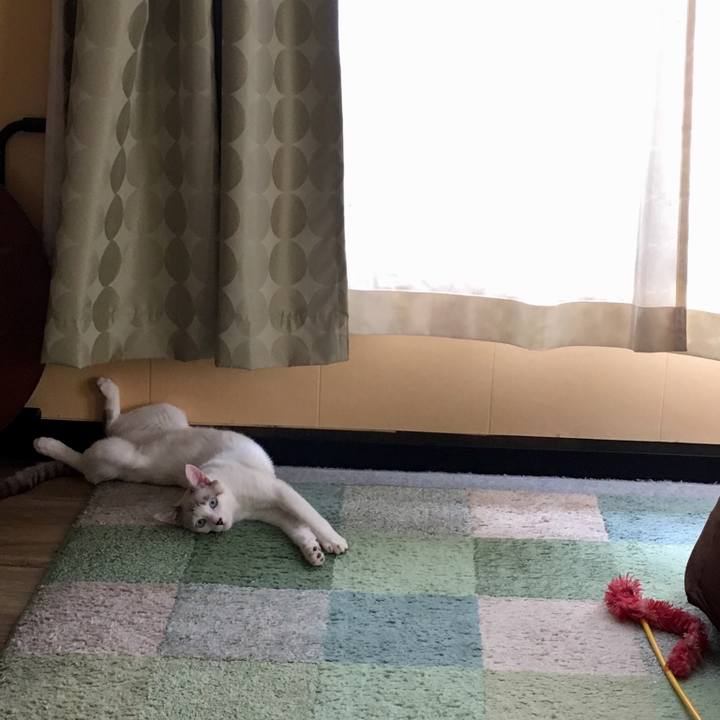 123cbfd9 3d97 45b5 b317 182811a2be42 1539051710804