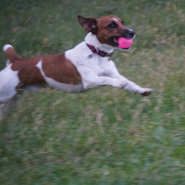 123cc0c6 cb55 41ae afb7 8c00efb975ff 1510265744024