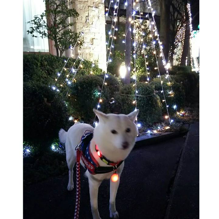 123cc539 617a 4f5e bb7d 95fba708a230 1576143973304