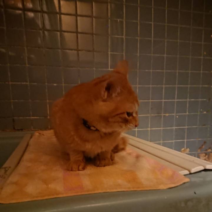 123cc5ad d634 4316 9b91 b47e7c9feb5d 1636541163901