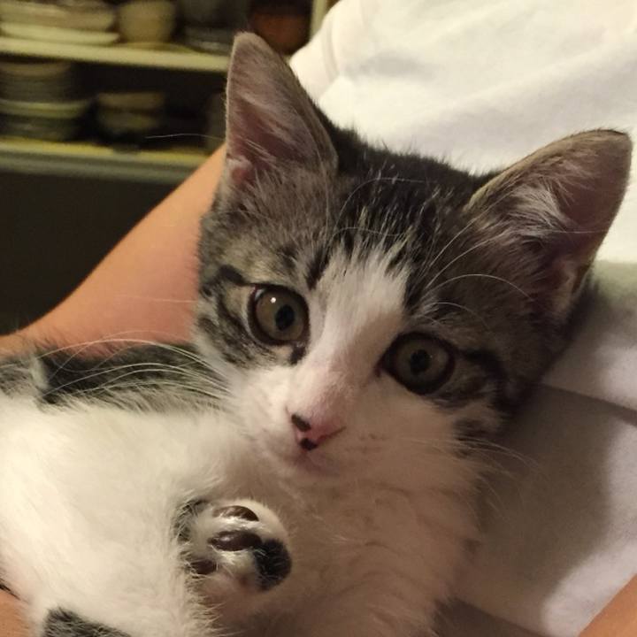 123ccba9 c53a 4531 8bb4 e65aa9b1ca30 1540437019946