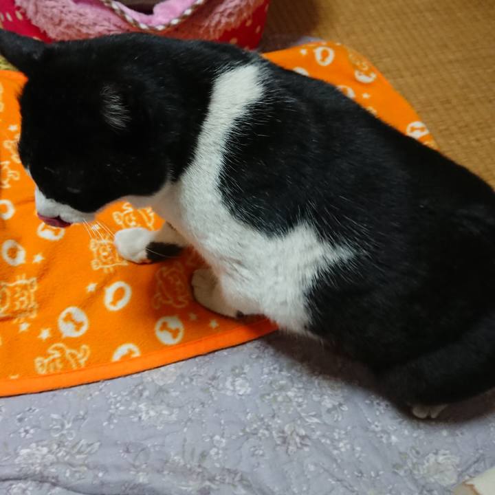 123cce74 2213 41a0 8013 9a386a8b2ad2 1548458974223