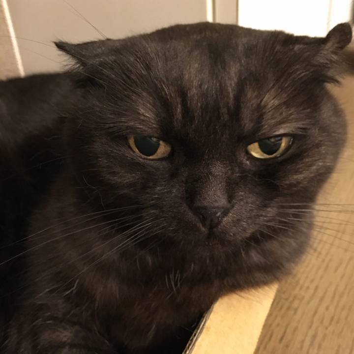 123cde92 6390 4cd8 a9c2 cee6d26151fc 1528302071333