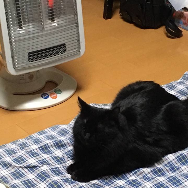 123d0872 bdeb 45b7 a206 19bb65b944bc 1514385761788