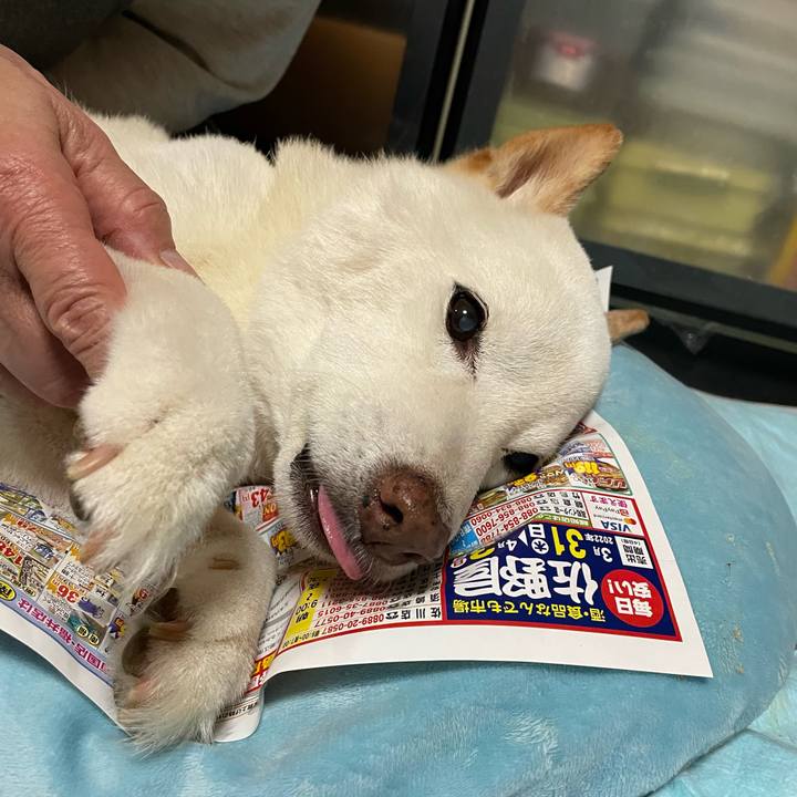 123d1112 4cde 4609 90e4 47c320f3a451 1652195245751