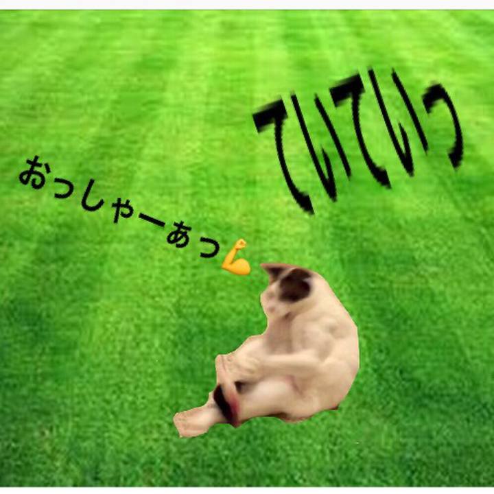 123d1fe3 09fb 4cb5 b777 983fa5e6c357 1526224108321