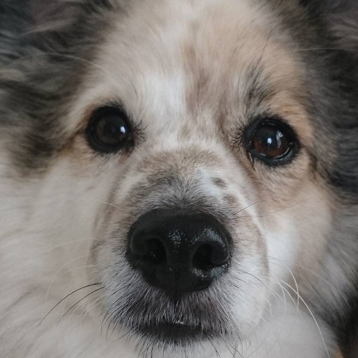 123d513e 8a88 4053 9cbd afaa4d9edbab 1559303263276