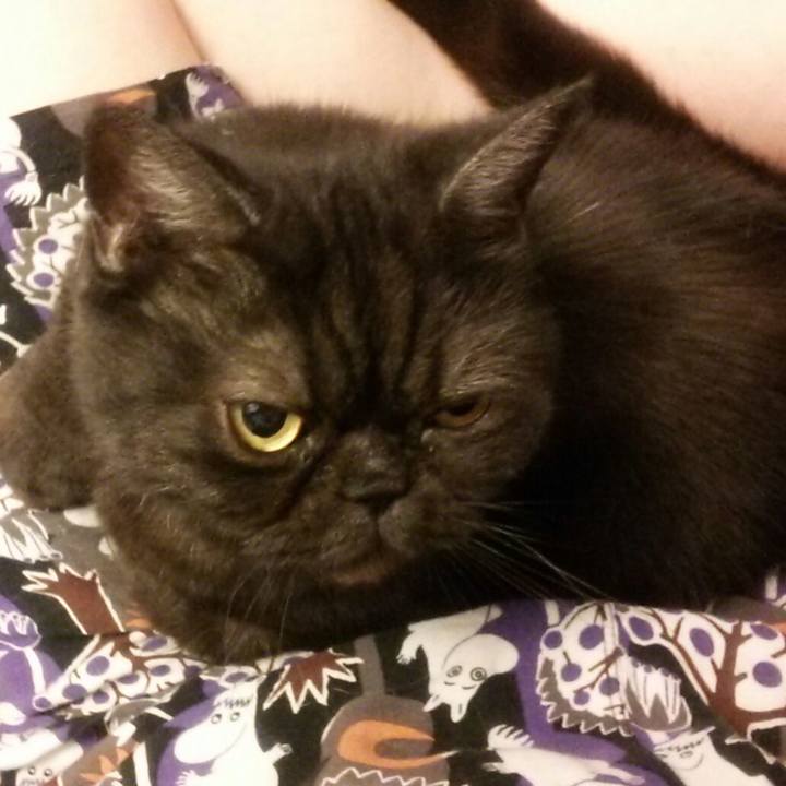 123d927c 56a7 4856 ac3f 8a28dc731c1e 1567888537407