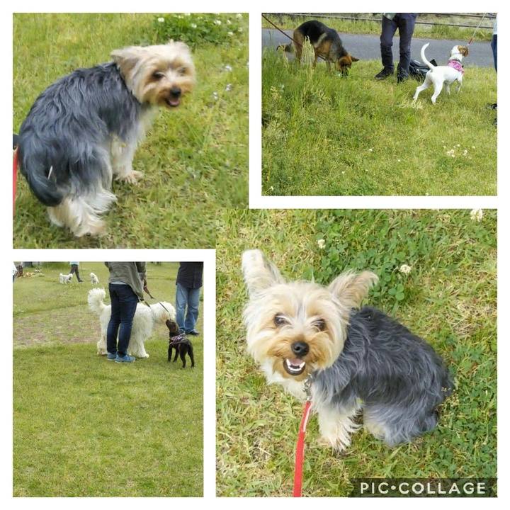 123da311 678d 4268 b0ab 432909c1e4c5 1556459428463