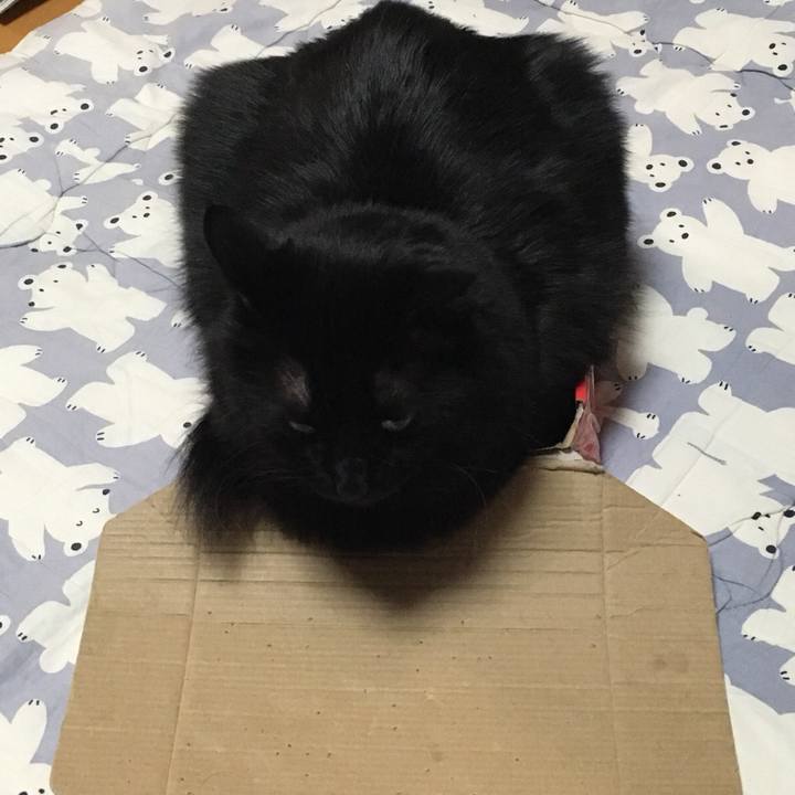 123ddc80 b706 4380 860f 7b73f95d2bb9 1519131025751