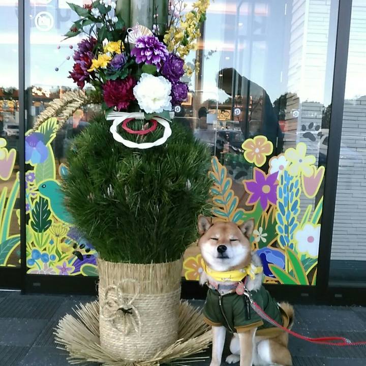 123de764 274c 470f 881a 6e13d5086a87 1546135786118