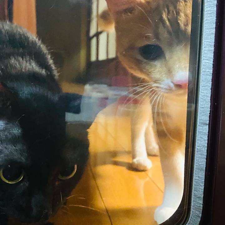 123df661 c34c 4615 b9fb faa53ba736a5 1757028998356