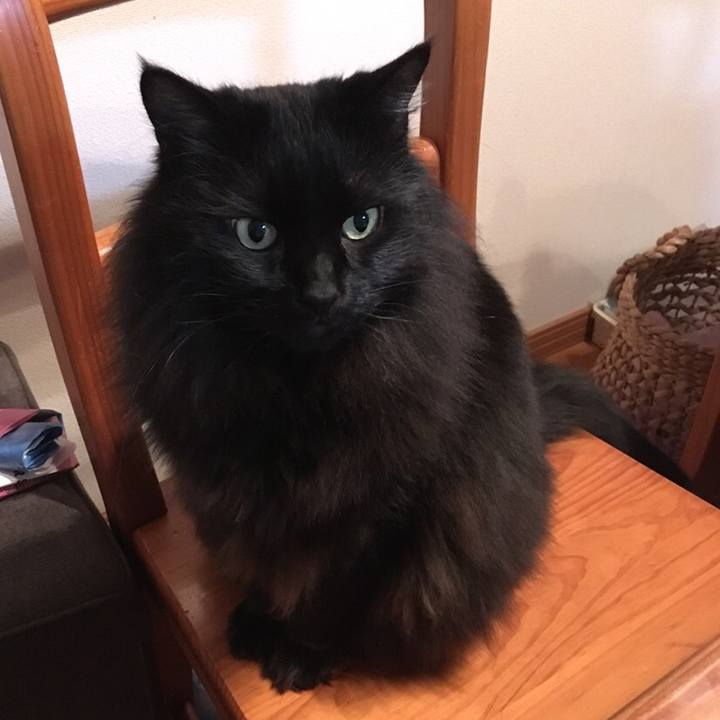 123dfb80 62af 4949 9e71 d2a588ddae10 1547772044613