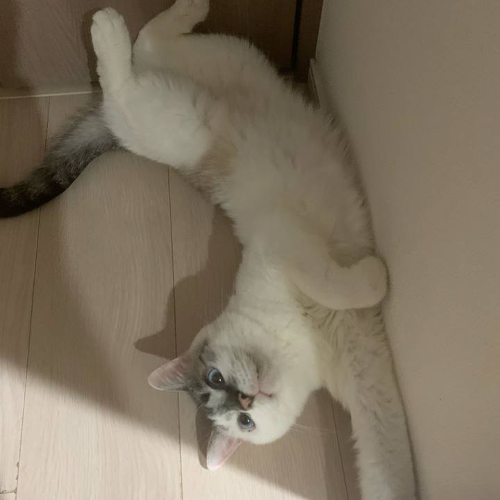 123ea410 d186 4590 a04d 5cbaff5617c4 1623796426961