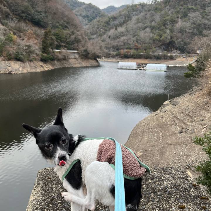 123ec5ec 66c3 4ed5 8213 28dcd081b2fa 1767522882711