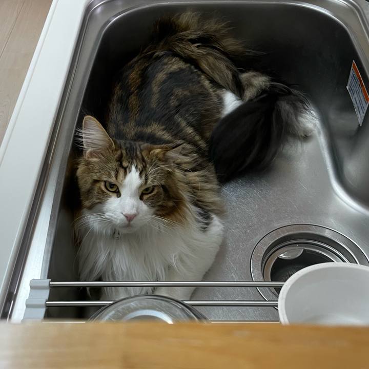 123ee5d0 4f00 4a3b b91f 1d19657dc4b8 1648151810502