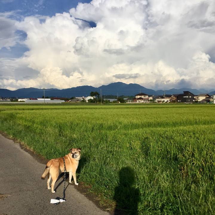 123eec10 a9a5 4295 ae55 d18160013f88 1535880858463