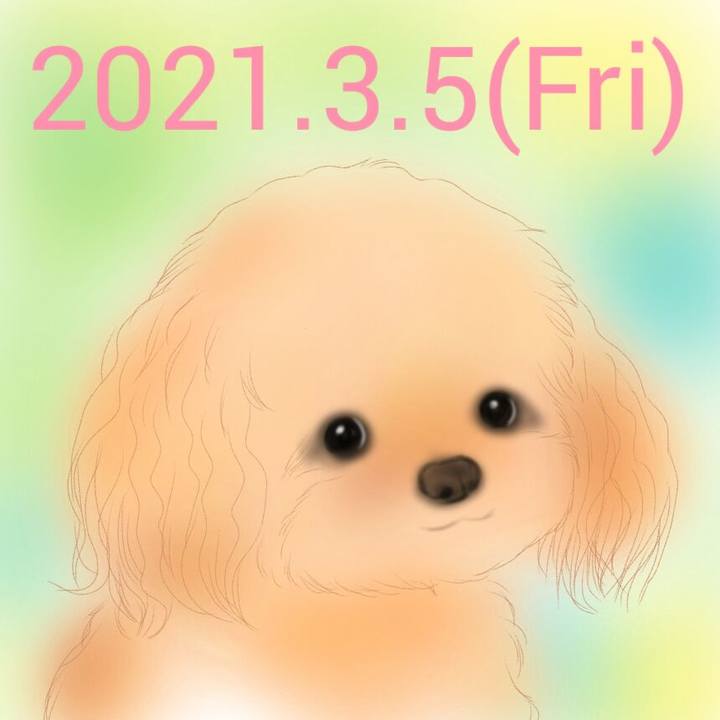 123efe7e bf7f 4ef2 b6d0 2c7138531a95 1614947340957