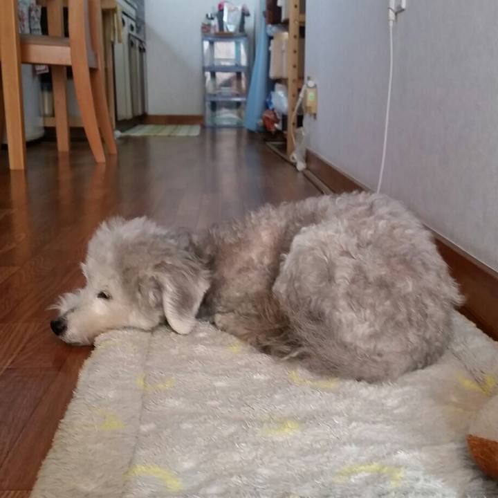 123f0188 17df 45ec 9c52 650ccf07477a 1618490967189