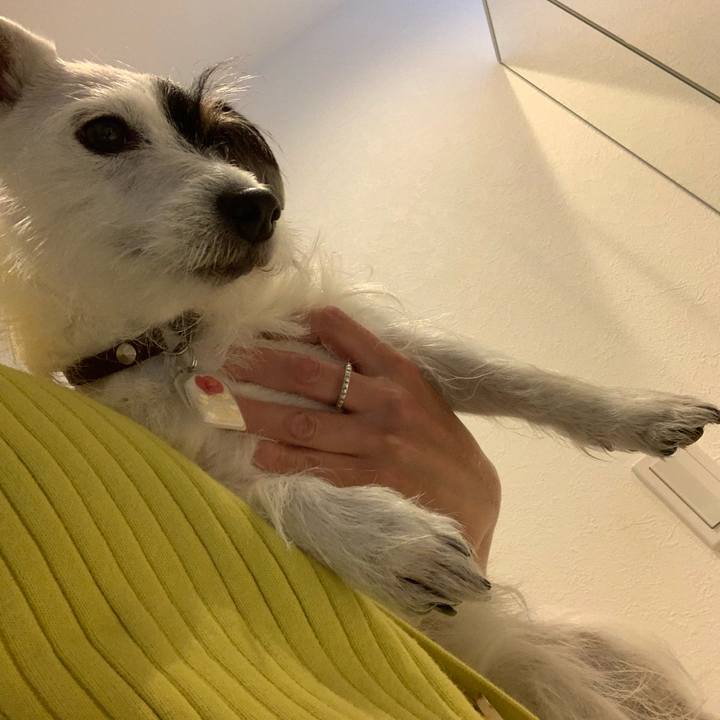 123f26b6 d12f 42be 8d07 1332fb70c252 1619424079169