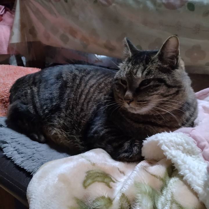 123f2dce 24ff 462f 9785 59138ee0681c 1676242304694