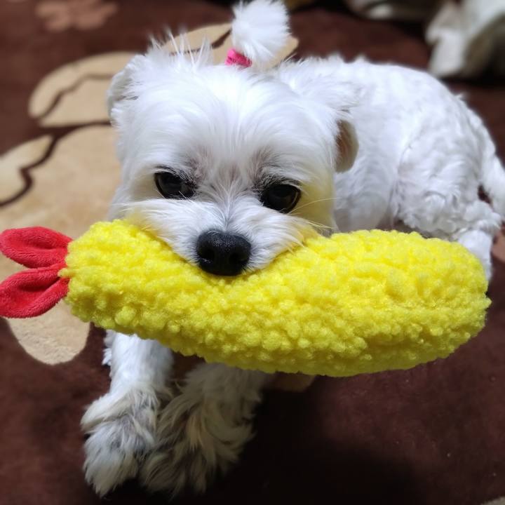 123f3ab4 5724 4b16 a805 672d438e4617 1730546503304