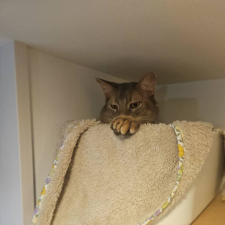 123f3c7a 5581 452a 80ad 33e51a4d13f7 1765542892366