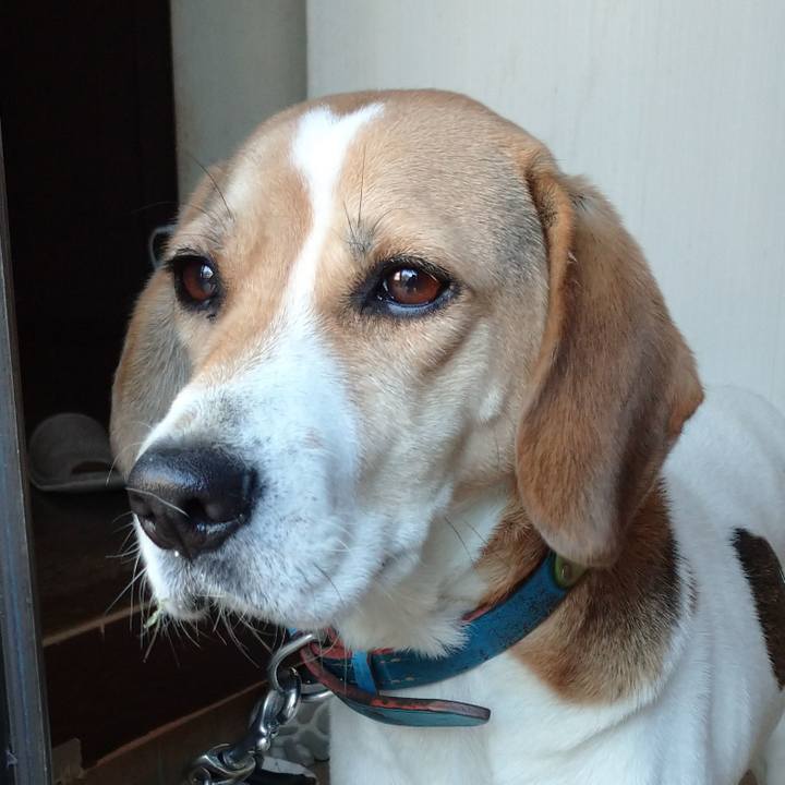 123f5cb1 cfb7 49da 8ee8 b1514de93f54 1610893594122