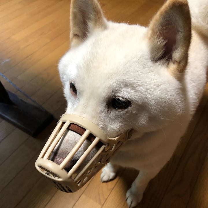 123f78ff 9baa 48ab 8623 e5c74d069c75 1569880169846