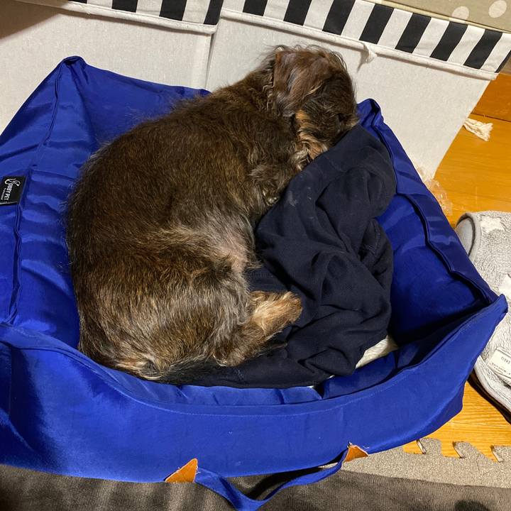 123fa326 b300 42cd 917f 6d724c656c75 1586621540031