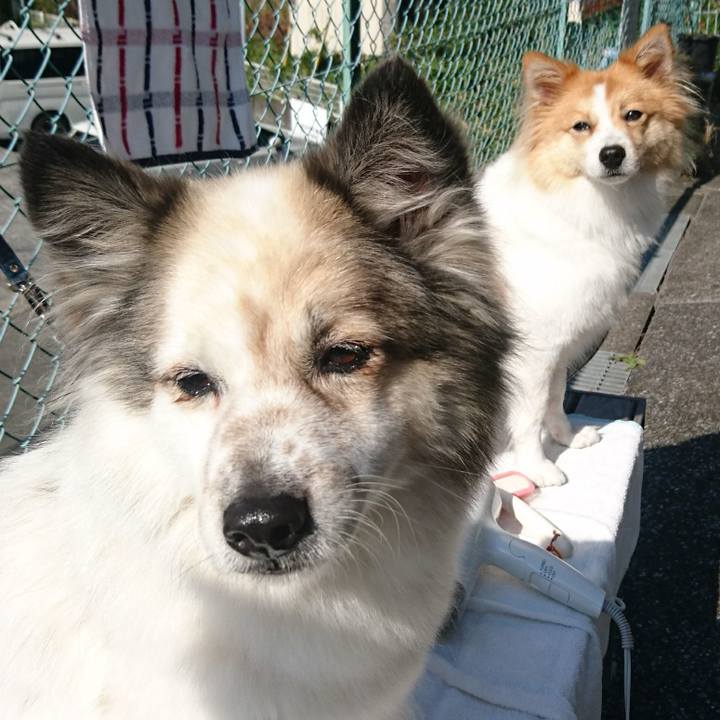 123fbcf9 e0dc 46eb 9481 20d5fa97ea6a 1572608992297