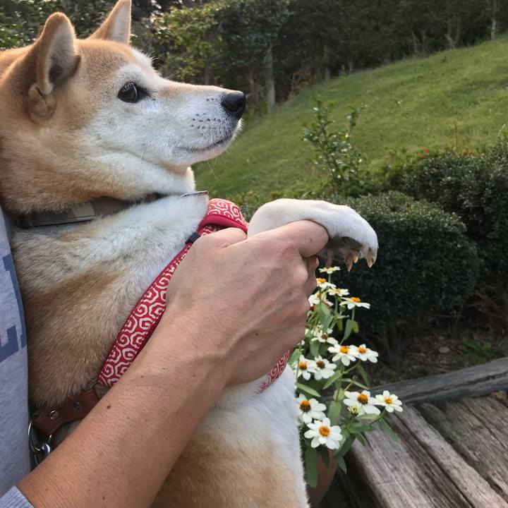 123fc72c 7d71 458e b0c7 01bd10f752e0 1541289579348