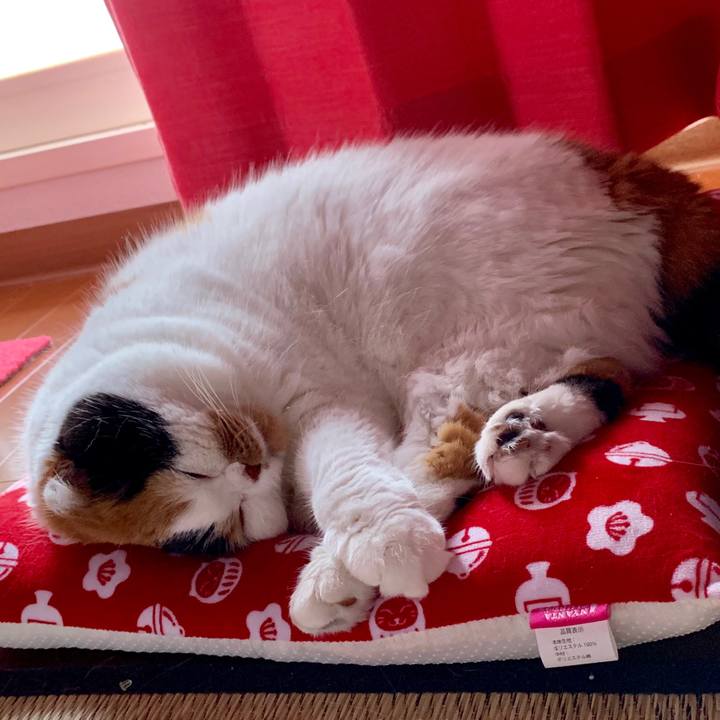 123fe228 b60f 403a bcb6 65cecb1a1b85 1563141660101