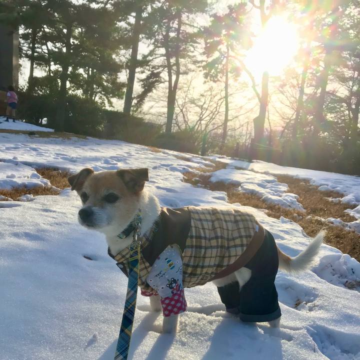 123ff9e1 014e 43ea 989c 45435f85c57b 1641715205297