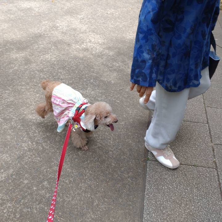 12402306 8c3e 44b1 b50a 0eb1615c324d 1663452449628