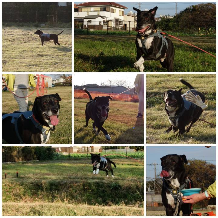 12404d85 a54d 4871 9ab3 89f6edc681d5 1731545225076