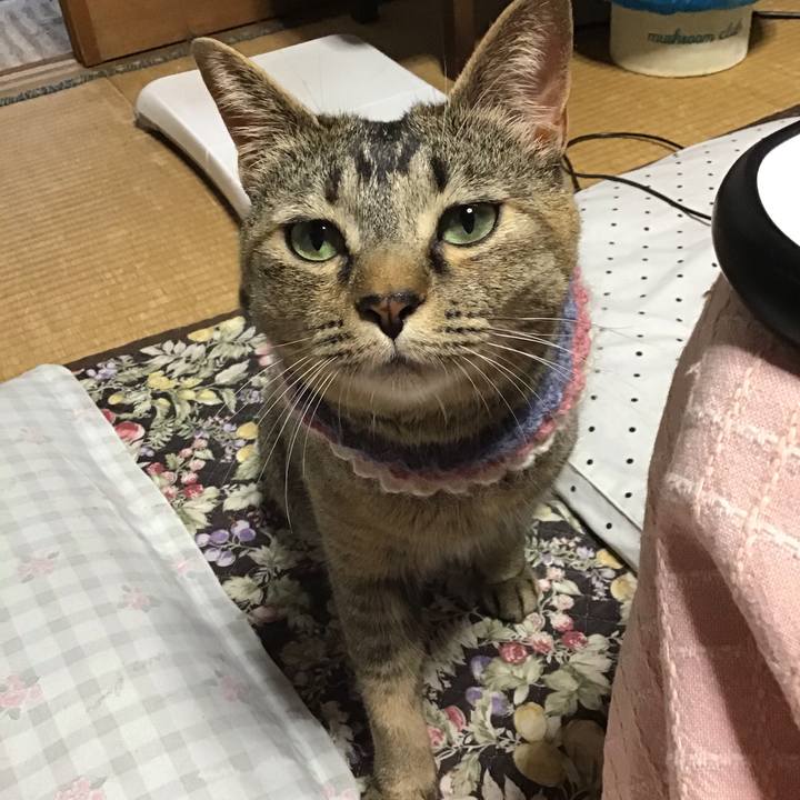 124055c9 adcd 459d 9a35 122d37302d3d 1621847593972