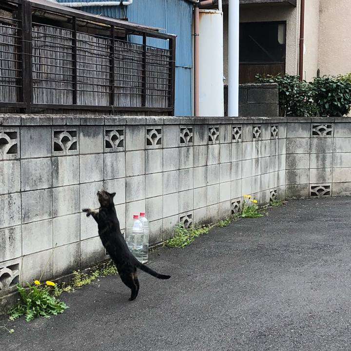 12406144 afbb 49f7 b251 c9f1edf0004e 1523867460527