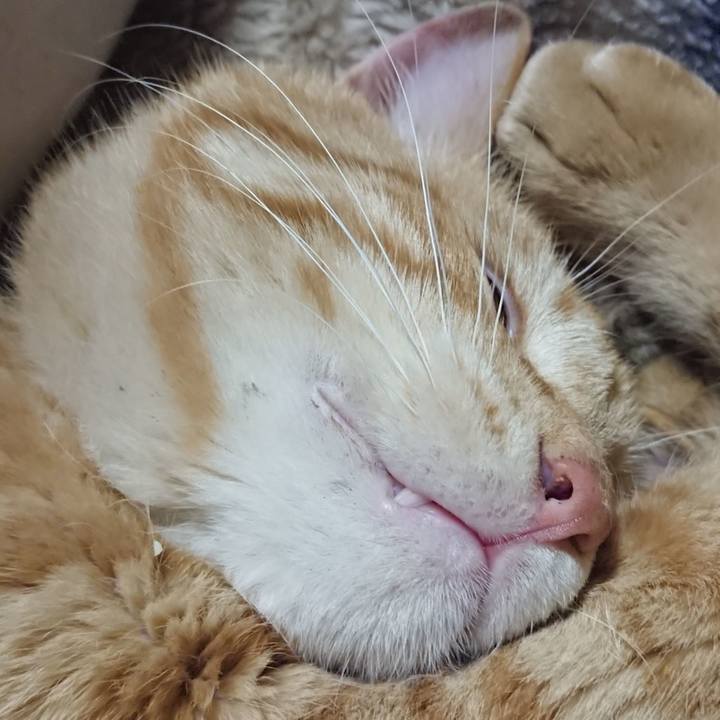 1240b87f ca93 4419 a6a3 75d127bad404 1648987103527