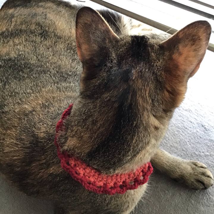 1240e953 266c 471f 9cc9 4e5897934272 1598171066254