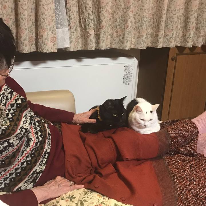 1240eca6 a37f 4745 80ab 28d2fea62641 1640938137040