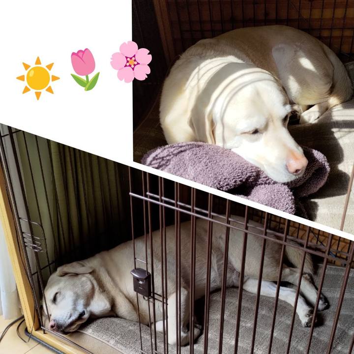 12418c33 4f43 4bfe 9153 346281024cd0 1712808003043