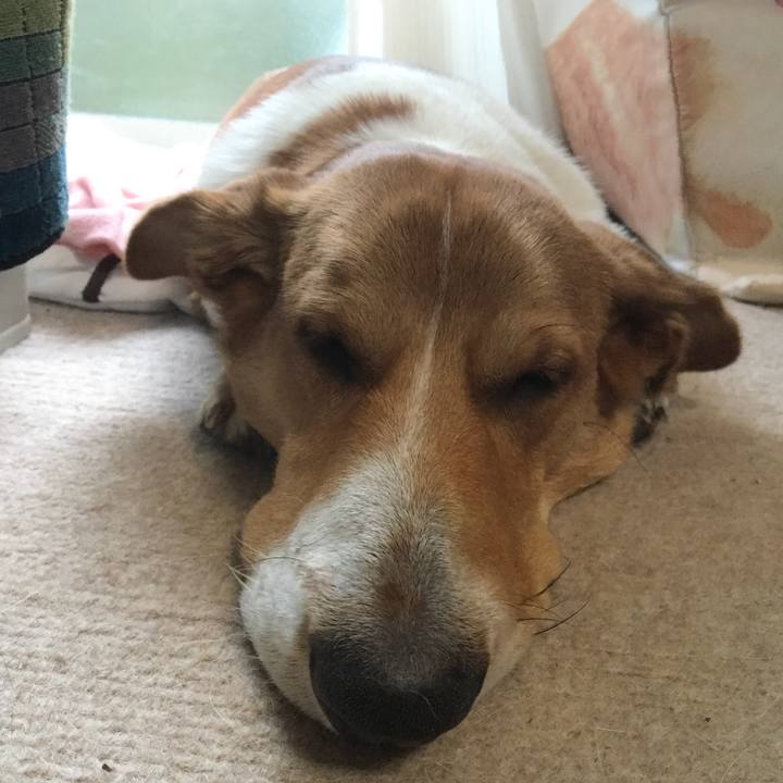 12419c42 a509 444b a8e4 c15a7257a977 1615605286616