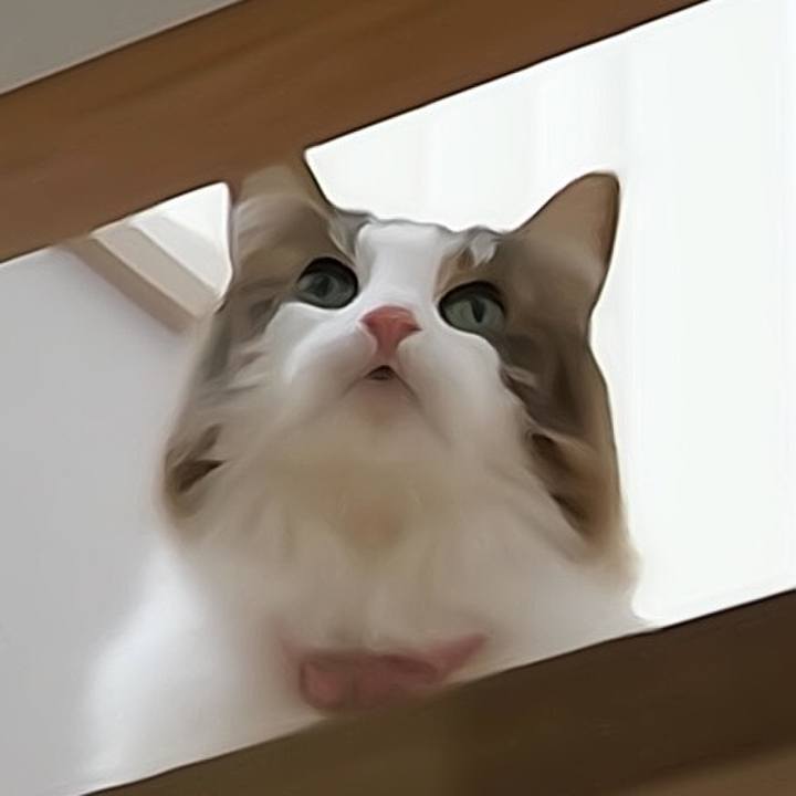 12419f58 14c9 4208 b203 4cb45f30f203 1544492527624