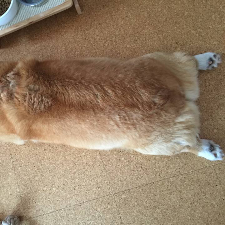 1241cc97 b30a 46f0 baf0 ce8a3833b8c1 1527001292965