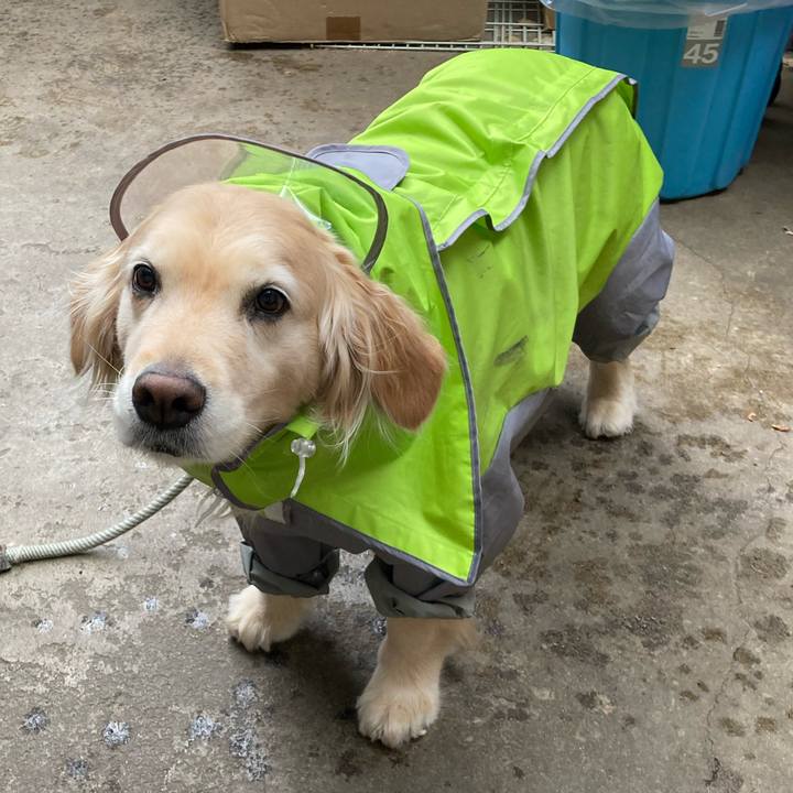 1241ec0e 1f8b 4e4f b102 1e1566295a48 1684141103609