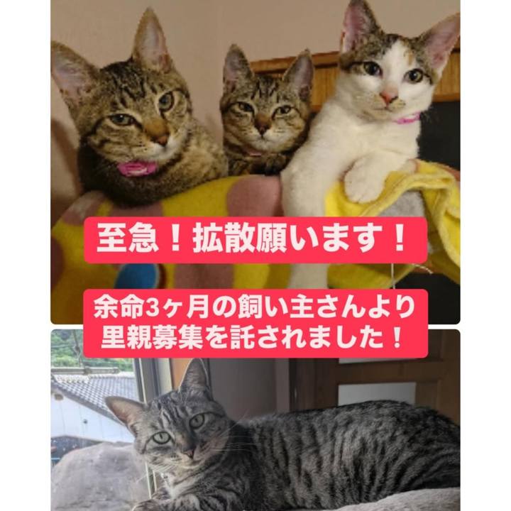 124214d4 4b9d 4faa 82c4 427411e4042a 1747994081068